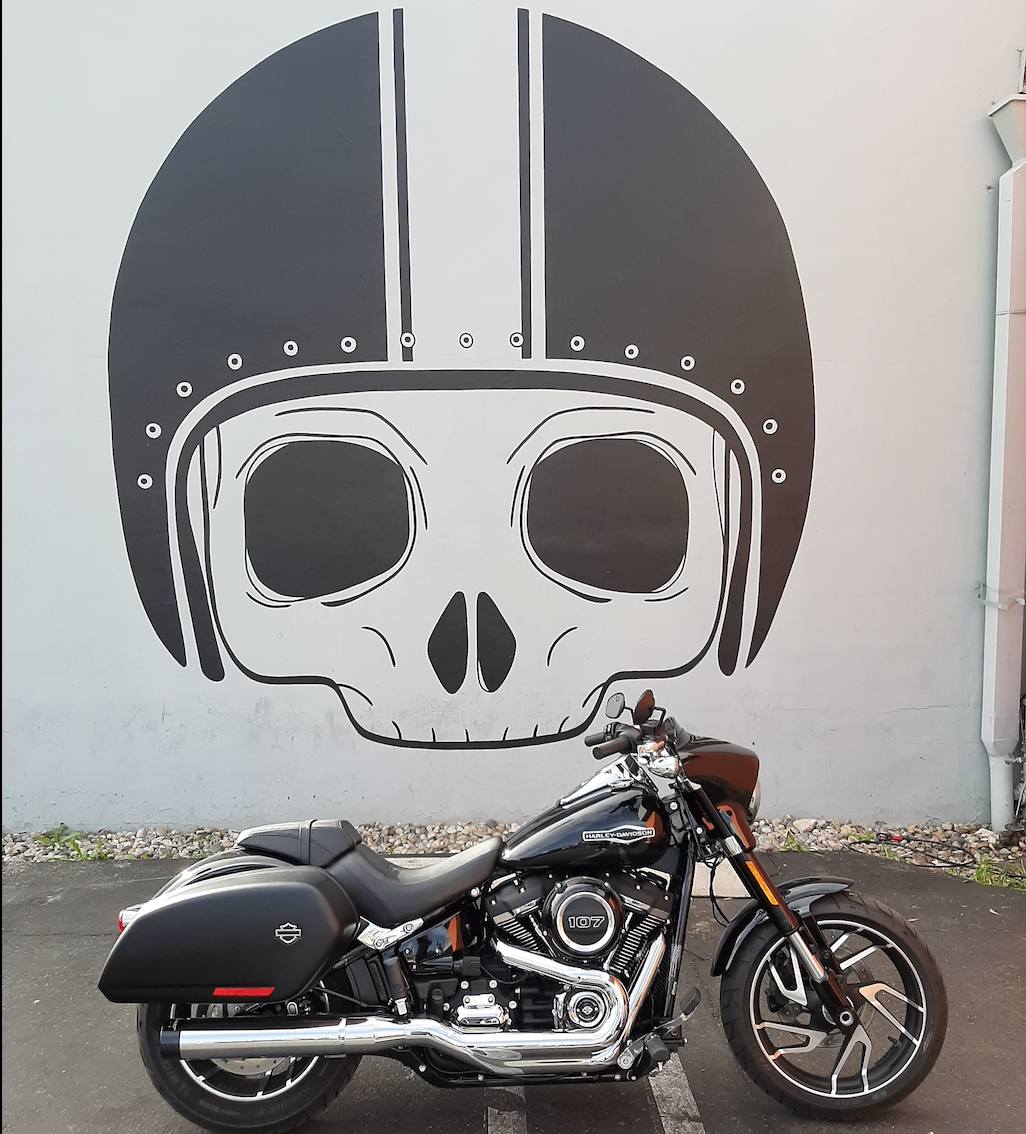 Front Fender Ornament Chrome Skull & Skeleton Hand for Harley Touring Softail